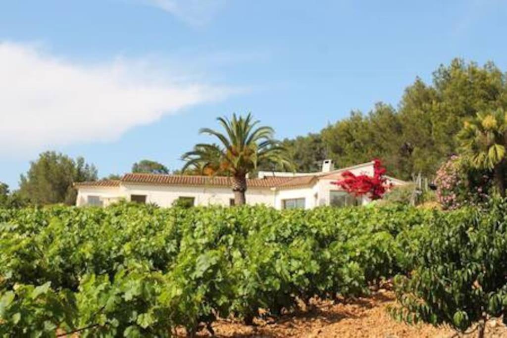 Le Domaine Des Vignes-spacieuse Villa/piscine * Hyères