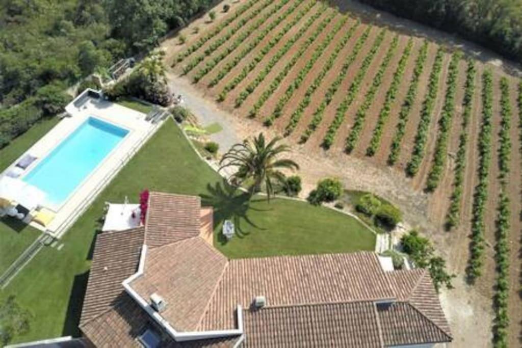 Le Domaine Des Vignes-spacieuse Villa/piscine Villa Hyères